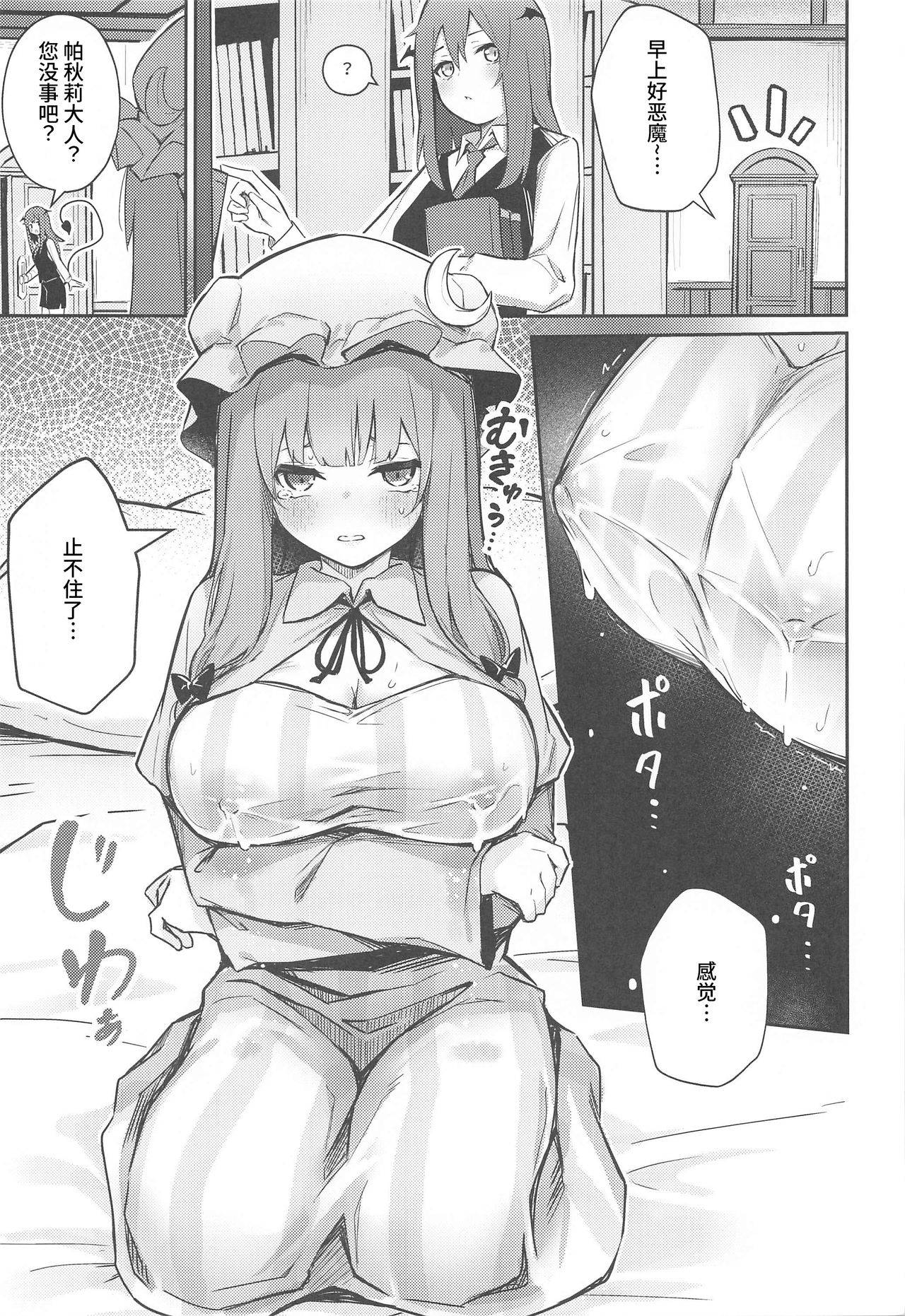 (AC2) [Bochi Bochi no Ki (Borusiti)] Patchouli ga Koakuma ni Shiborareru Hon (Touhou Project) [Chinese] [WTM直接汉化]