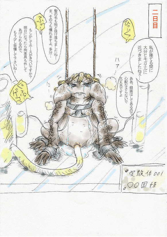 [Yakanusu] Toad TF Manga