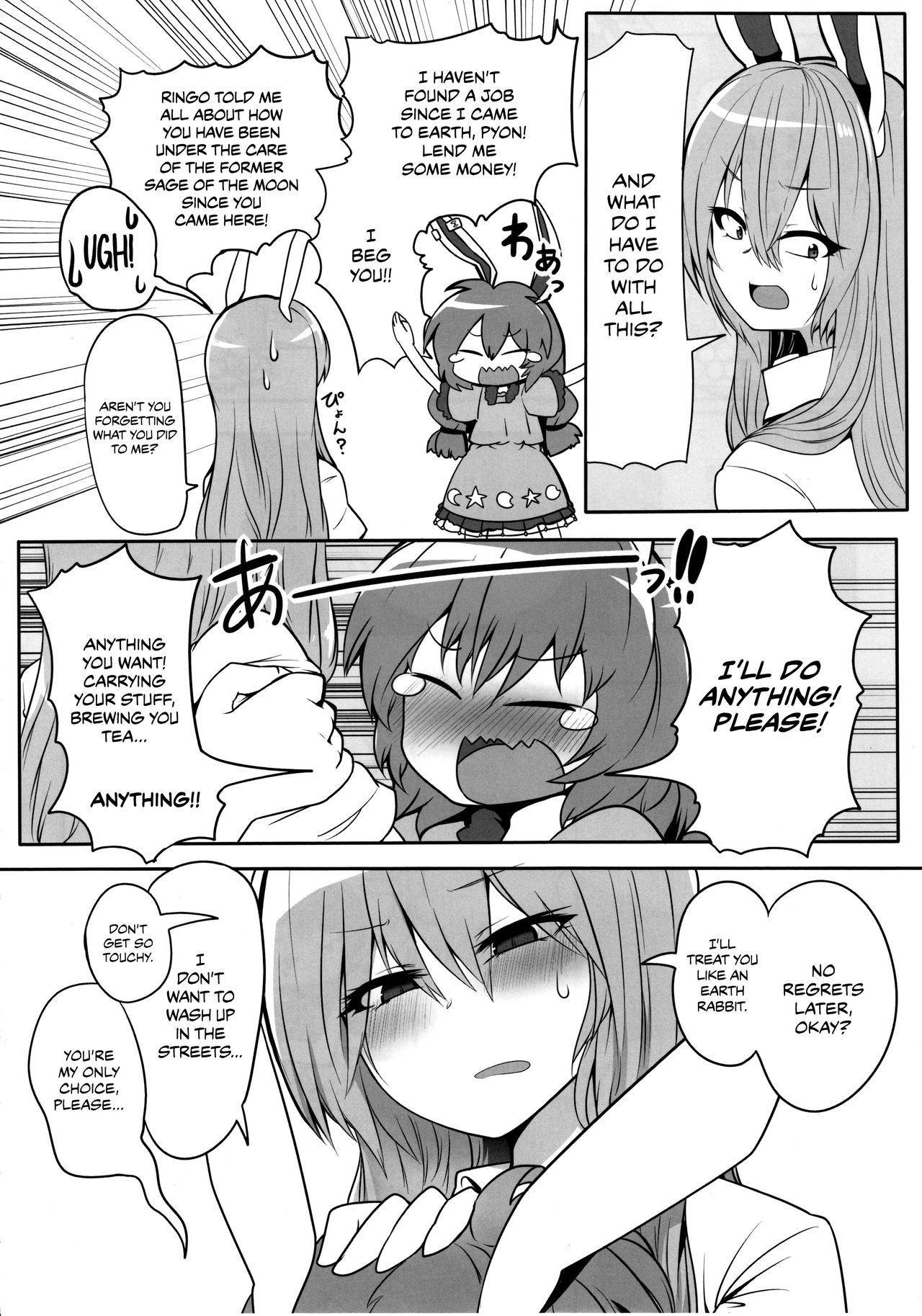 (C92) [RTD (Mizuga)] Rabbit Shooting (Touhou Project) [English] {Chrysanthemum}