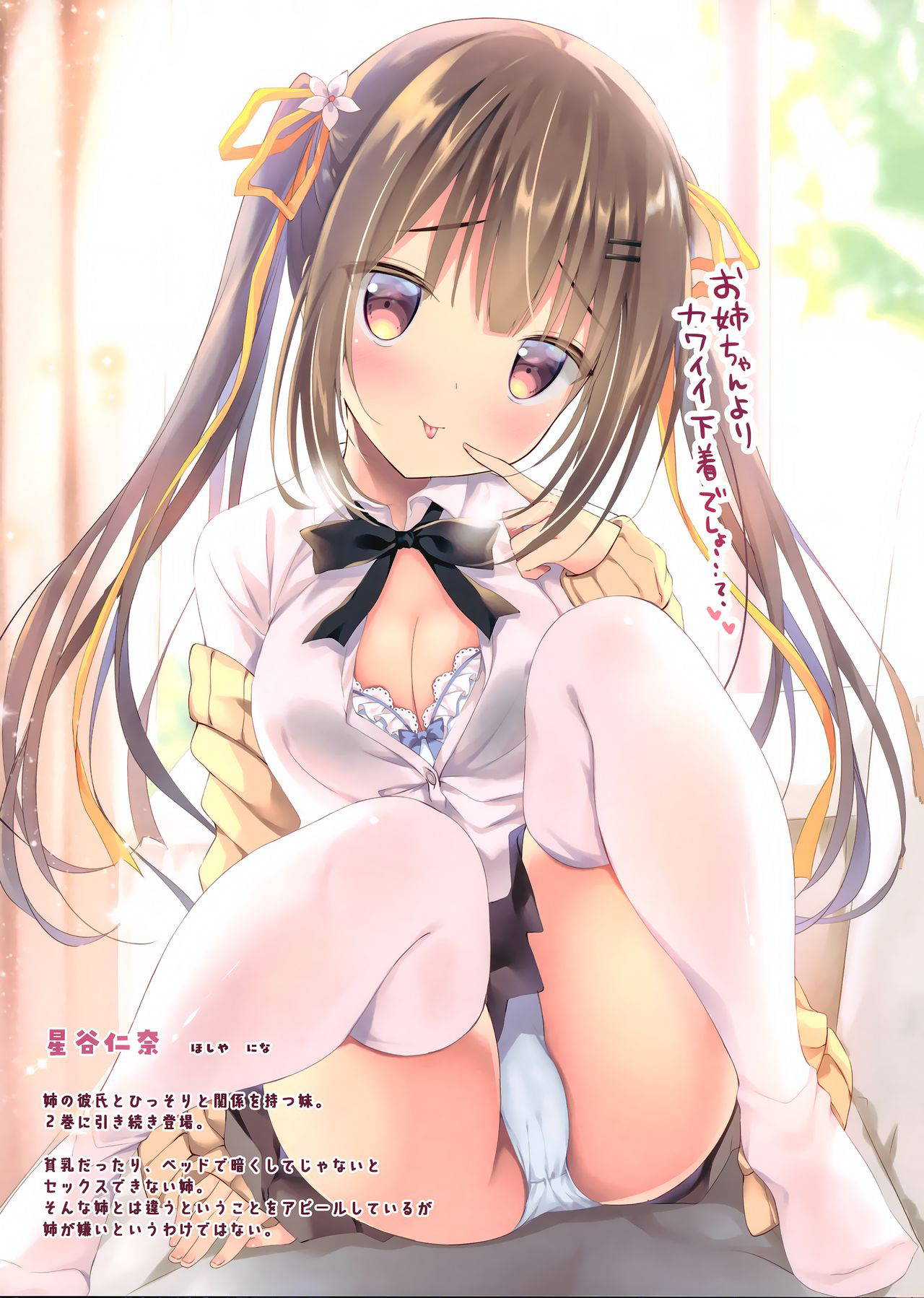 (C97) [Aroma Terrace (Shibainu Niki)] Honto wa Ecchi nan desu yo...? 3