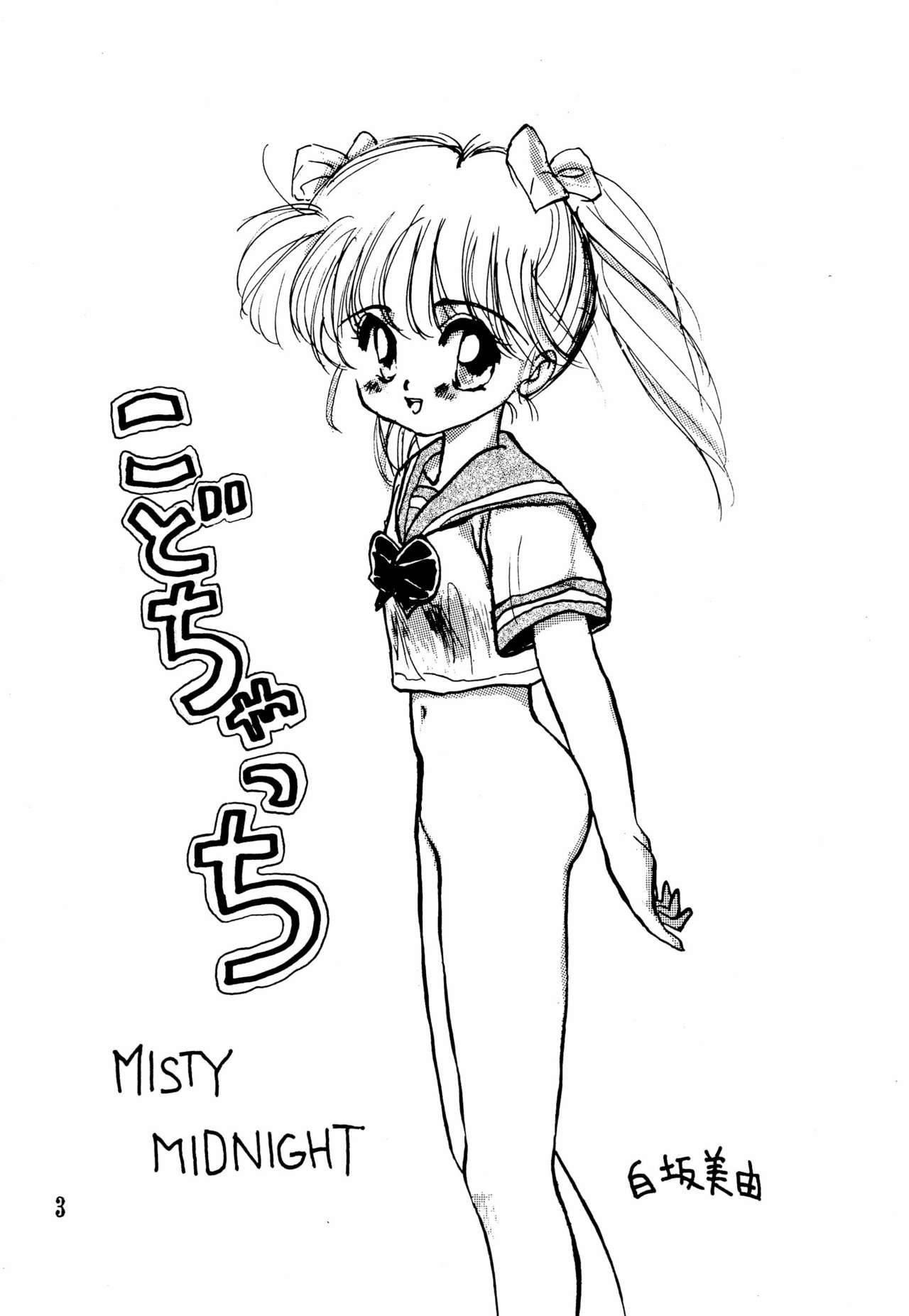 (C52) [MISTY MIDNIGHT (Shirasaka Miyu)] Kodochacchi (Kodomo no Omocha)