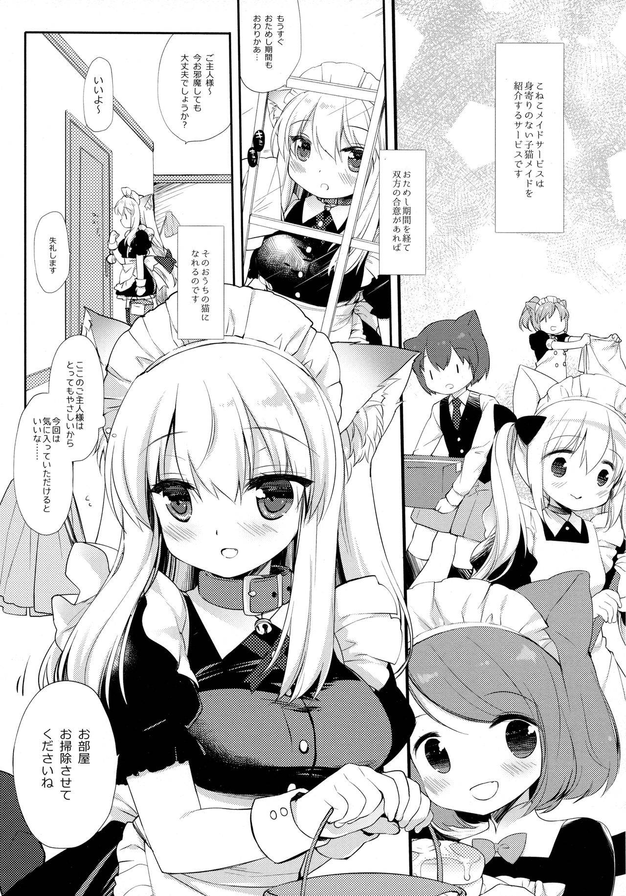 (COMITIA127) [D.N.A.Lab. (Miyasu Risa)] Koneko-chan wa Kawaretai