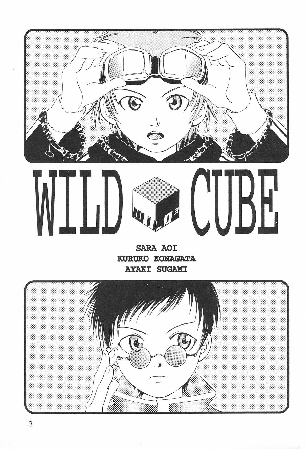 (C61) [anti-knock, MARIJUANA PICKERS, Deko Tamiya (Various)] WILD CUBE (Digimon Tamers)