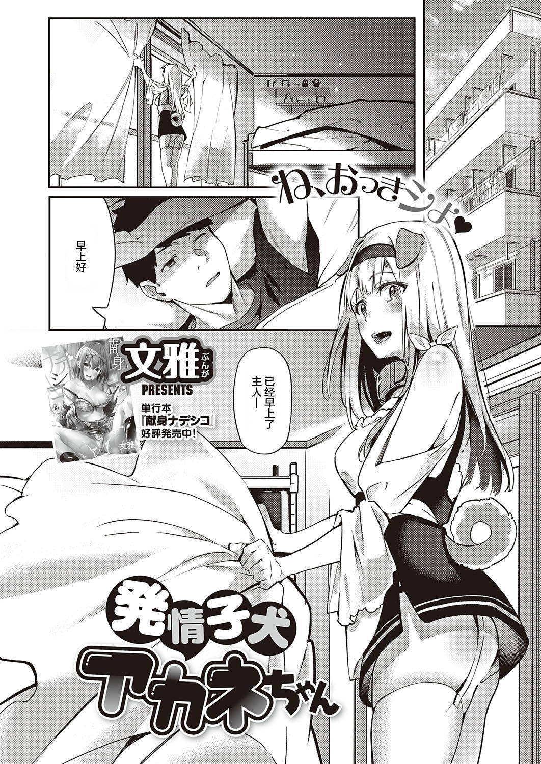 [Bunga] Hatsujou Koinu Akane-chan | 发情小狗茜 (COMIC ExE 29) [Chinese] [暴碧汉化组×不够色汉化组] [Digital]