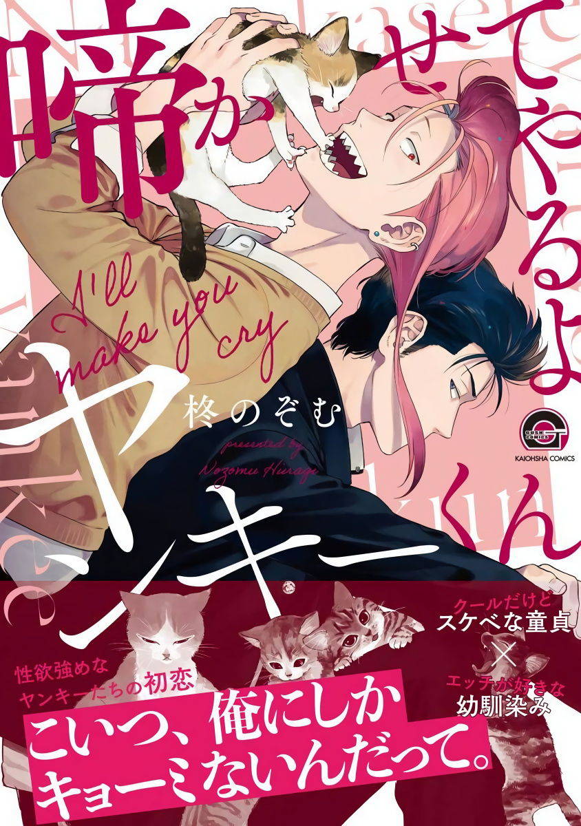 [Hiiragi Nozomu] Nakasete Yaru yo Yankee-kun | 让你哭噢小混混 Ch. 1-2 [Chinese] [拾荒者汉化组] [Digital]