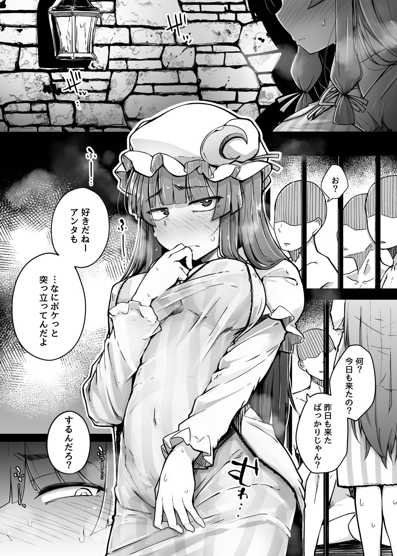 [Jikahatsudensho (flanvia)] Ana to Muttsuri Dosukebe Daitoshokan 3 (Touhou Project) [Digital]