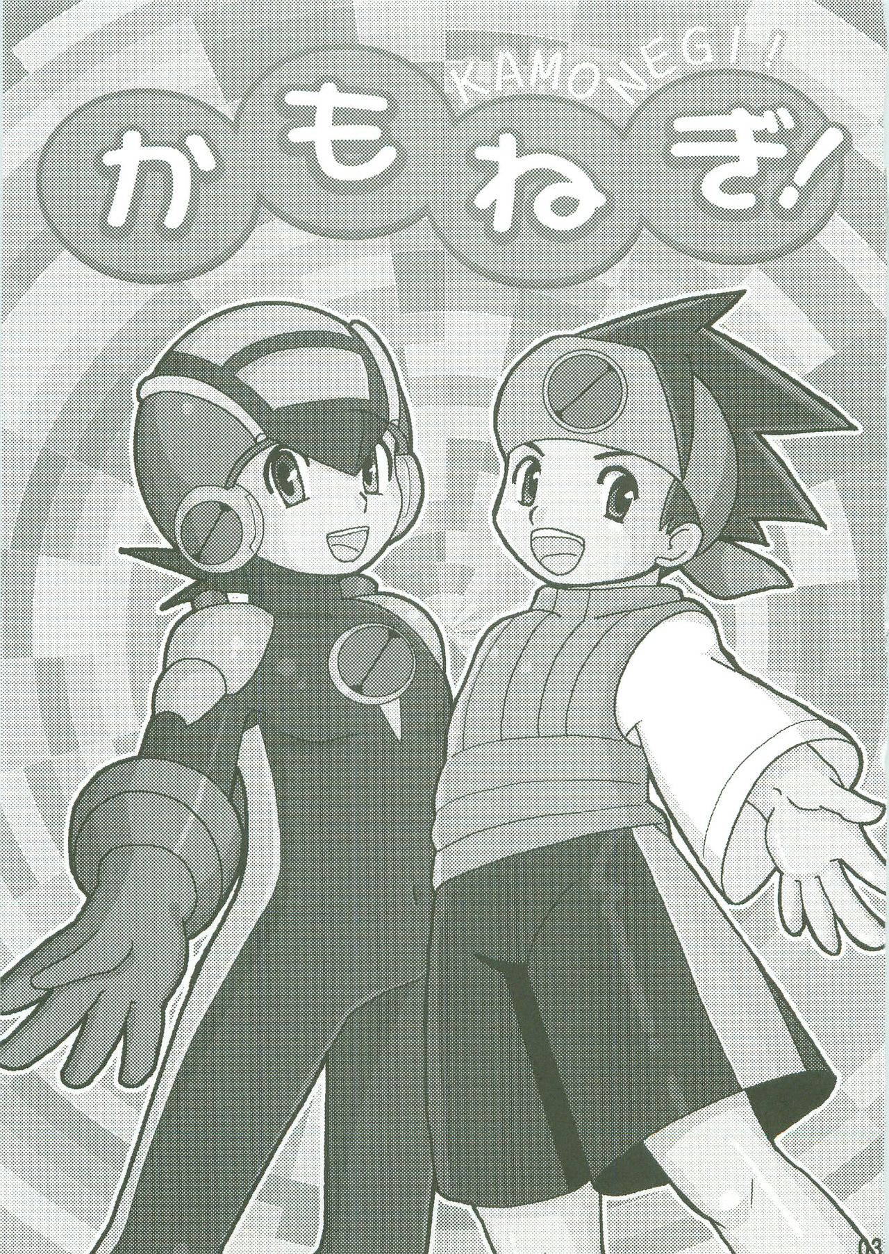 Kamonegi! (Rockman.EXE)/abemochi