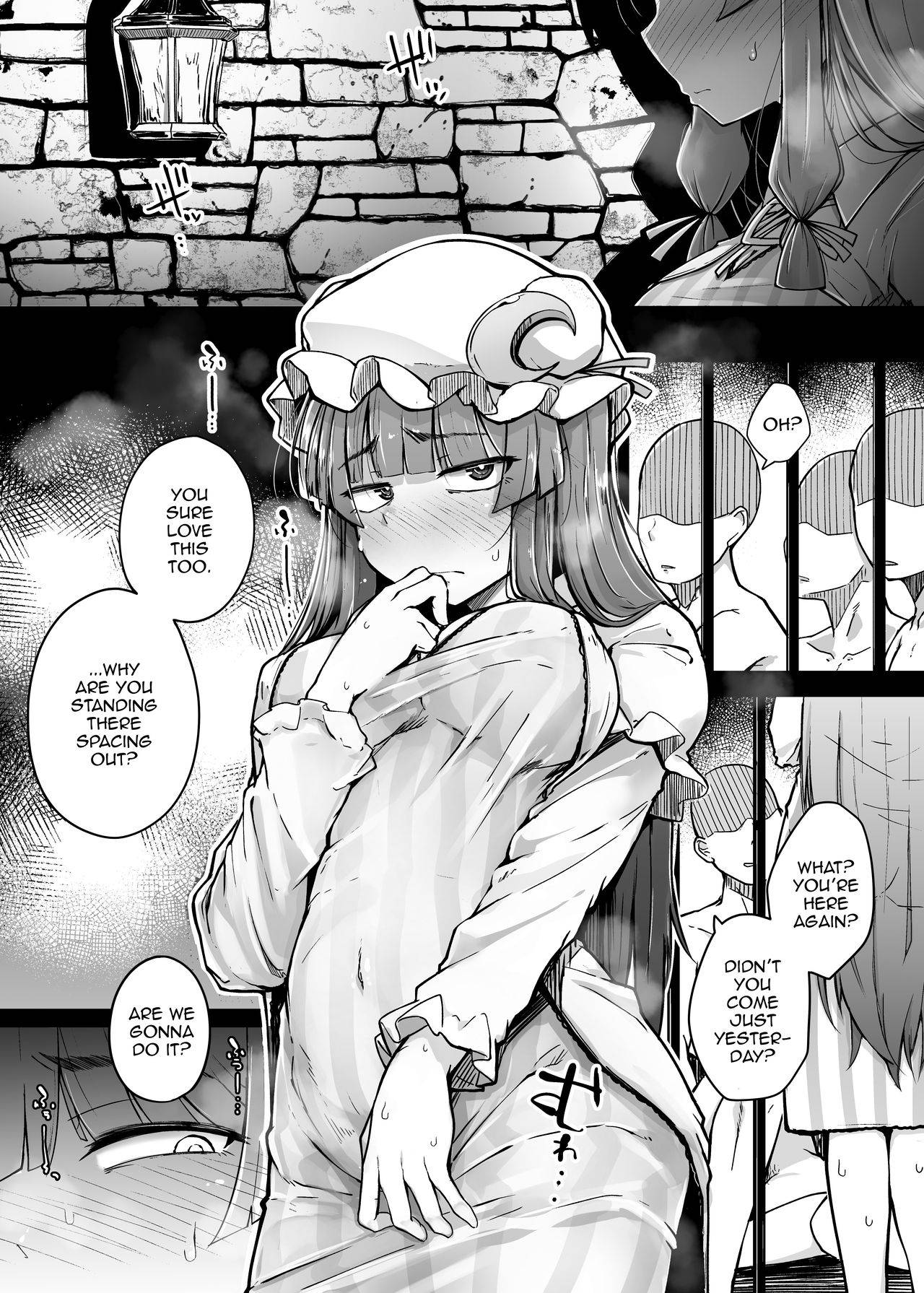 [Jikahatsudensho (flanvia)] Ana to Muttsuri Dosukebe Daitoshokan 3 (Touhou Project) [English] [gentletemptl] [Digital]