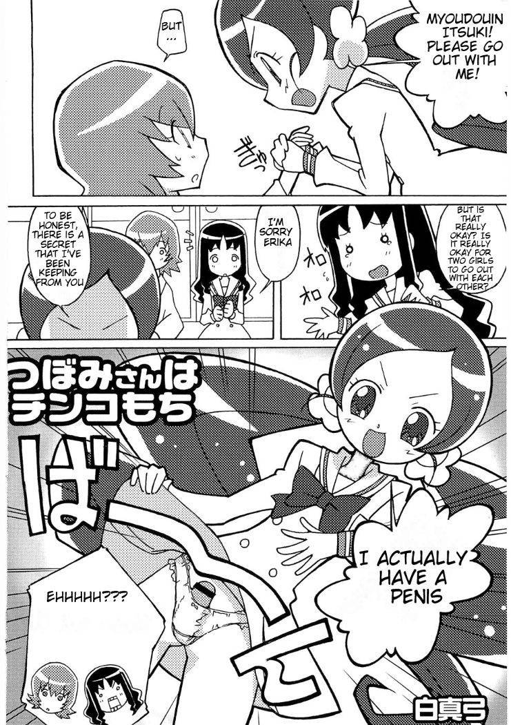 (Puniket 21) [Circle Heron (Shiramayumi)] Magejun 26 (Heartcatch Precure!) [English] [BetterThanNothing]