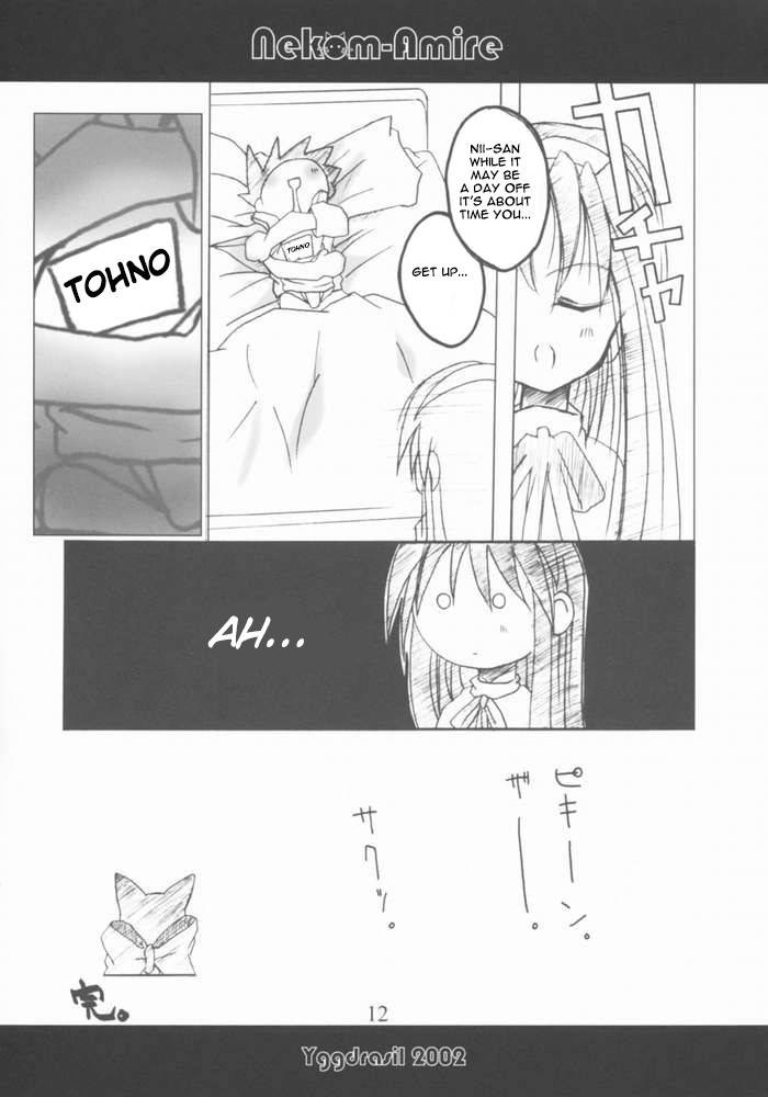 (C63) [Yggdrasil (Miyabikawa Sakura)] Nekom-Amire (Tsukihime) [English]