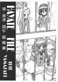 (COMIC1☆4) [RAT TAIL (IRIE YAMAZAKI)] HAYATE FILE - Izumi Miki Risa Gazoushuu (Hayate no Gotoku!) [English]