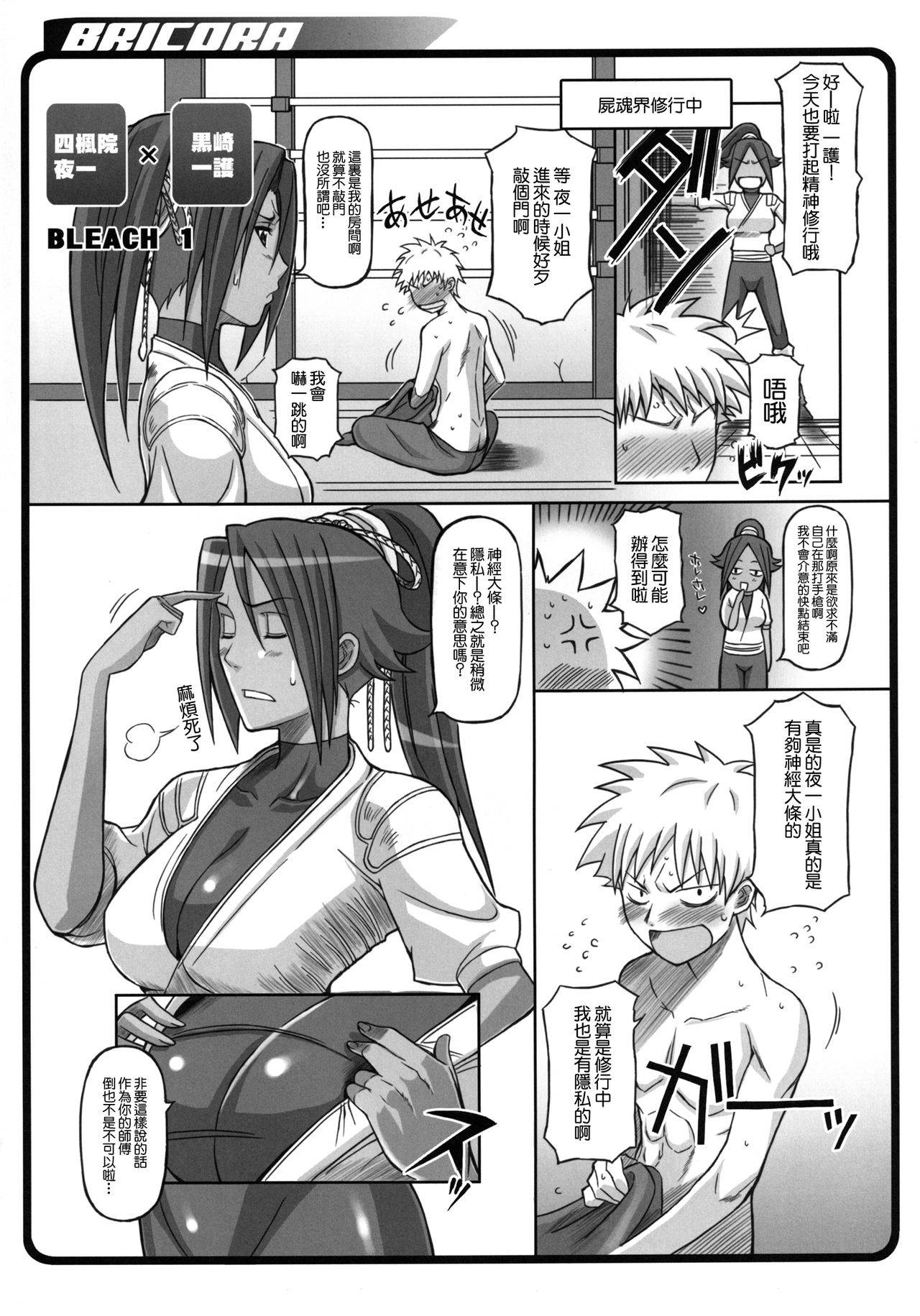 [Diogenes Club (Haikawa Hemlen)] BRICOLA (BRICOLA Soushuuhen) (Bleach) [Chinese] [零星汉化组] [Digital]