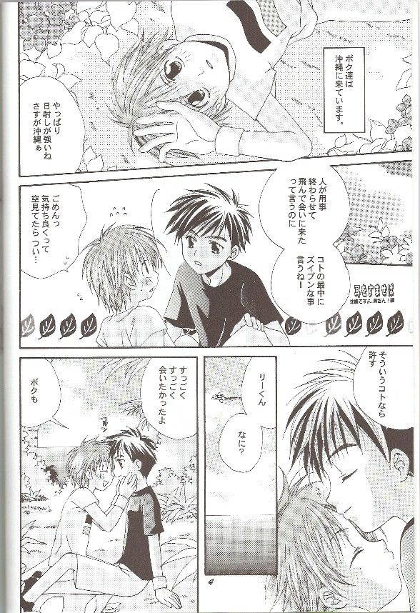 (C60) [devil's talk, DIGIRING (Aoyagi Mitsuru, Kotoki Rin)] Natsu no Oujisama (Digimon Tamers)