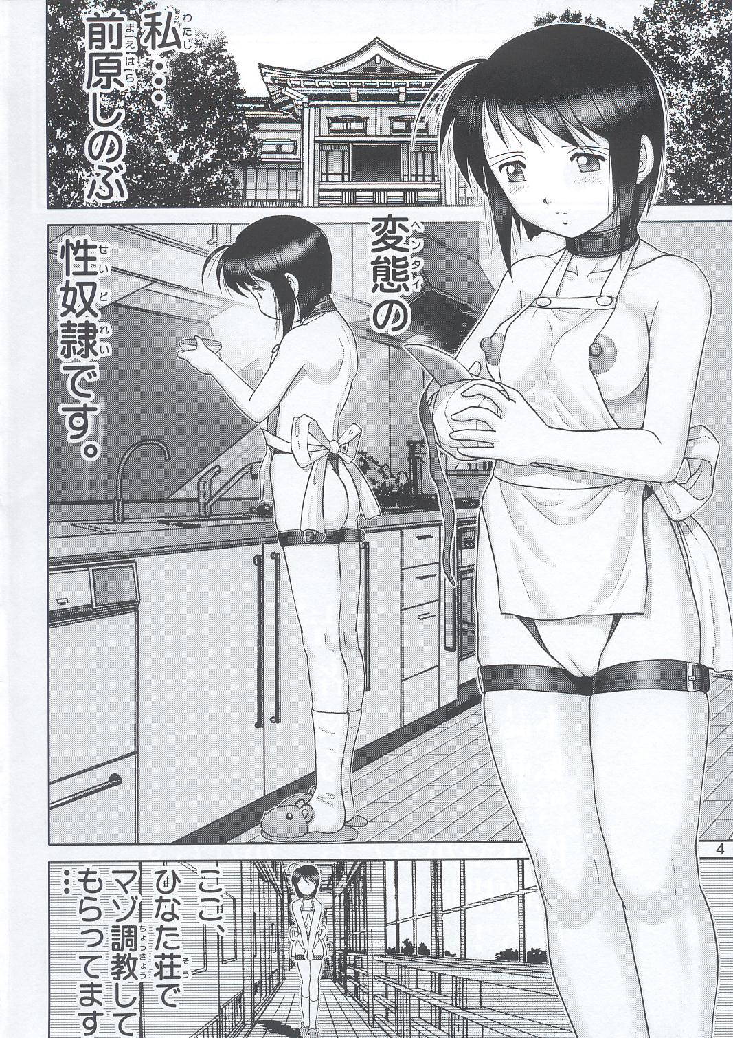 (C63) [Raijinkai (Haruki Genia)] Maso Shino Yon (Love Hina)