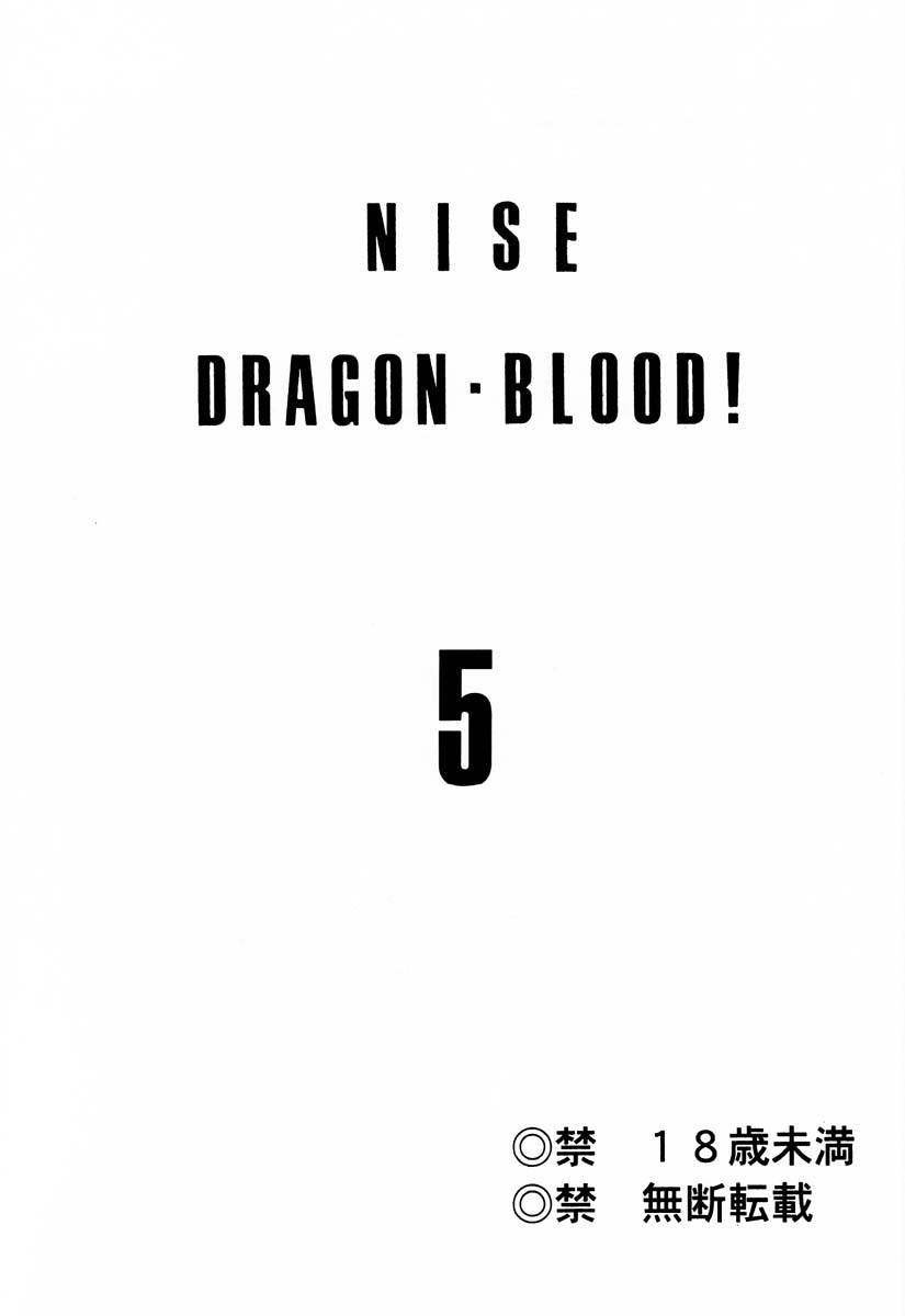 (C55) [LTM. (Taira Hajime)] NISE Dragon Blood! 5 [Chinese] [牛头汉化]