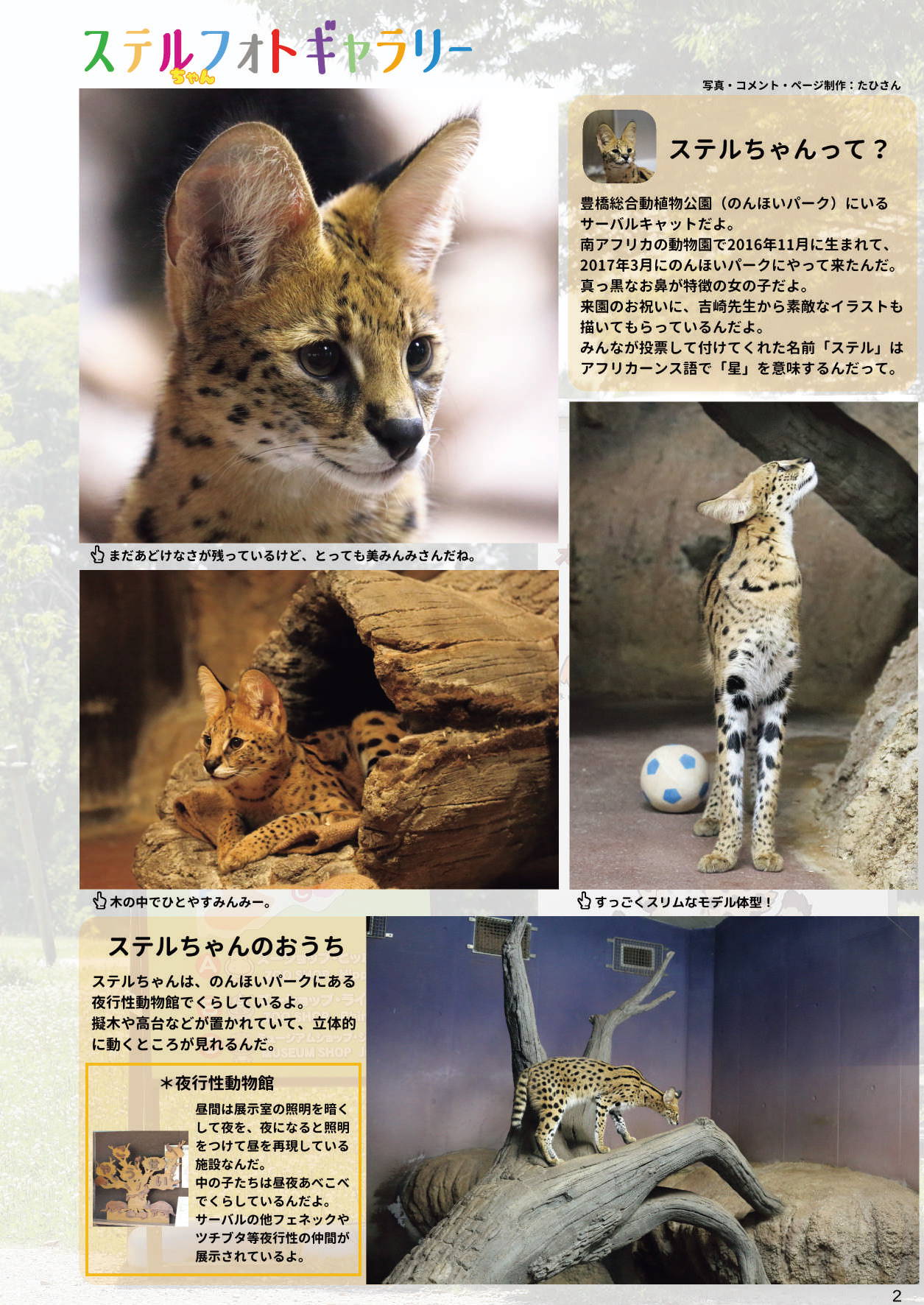 [mayけものフレンズ (Various)] Mayけものフレンズスレ合同誌 (Kemono Friends)