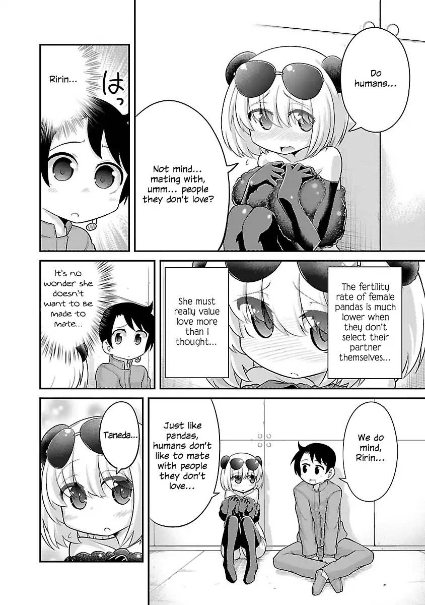 Kemokko Dobutsuen! (Chapter 2 - Ririn The Panda)