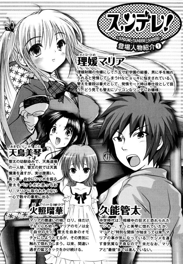 [Natsume Fumika] Sundere! Vol. 03