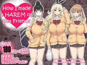 [Ailail (Ail)] Boku ni Harem SeFri ga Dekita Riyuu | How I made a Harem of Sex Friends [English] [KittyKatMan]