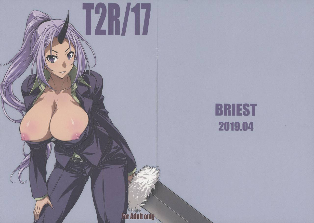 (COMIC1☆15) [BRIEST (Yashima Tetsuya)] T2R/17 (Various)