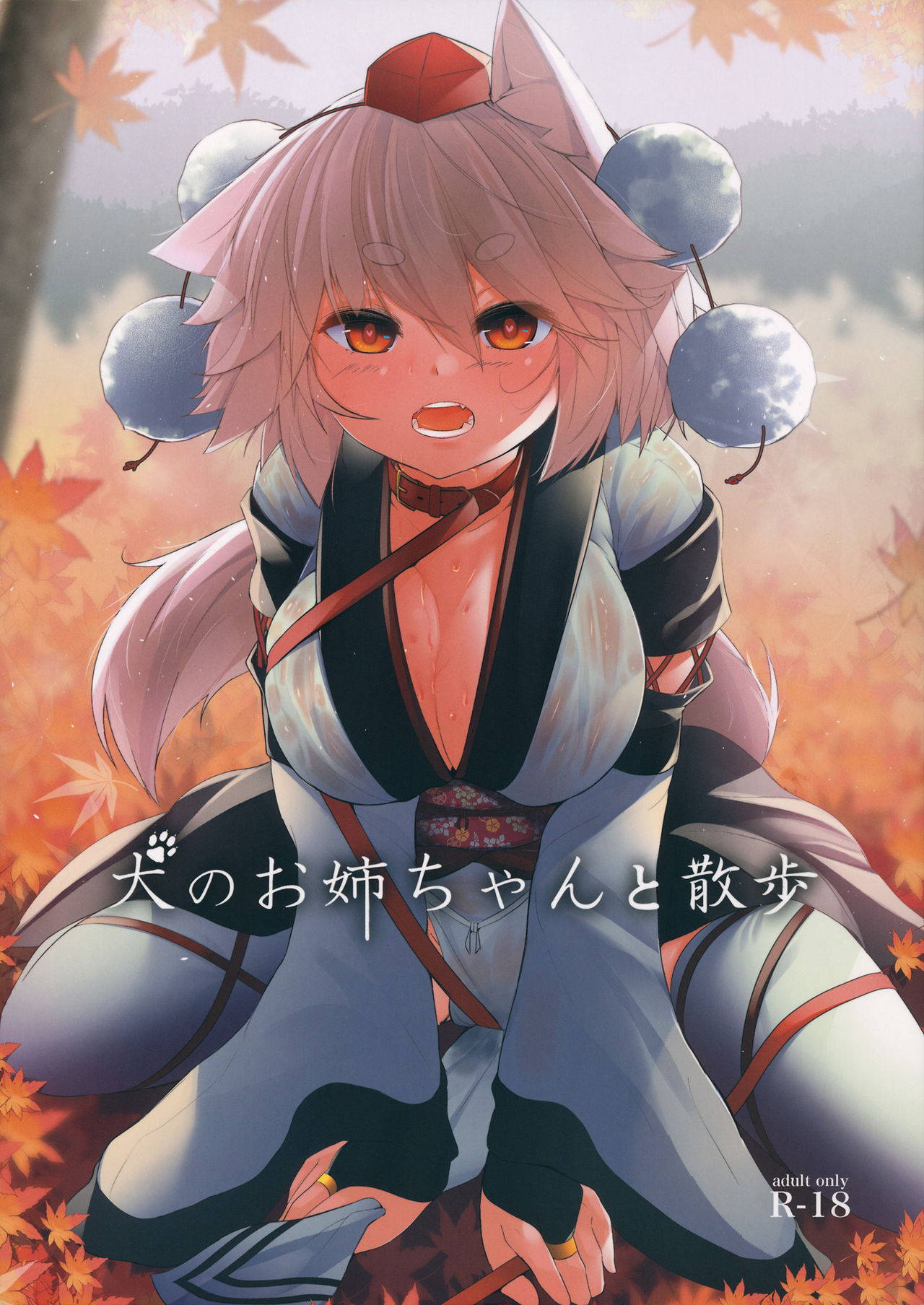 (Kouroumu 15) [Nanika no Heya (Hira)] Inu no Onee-chan to Sanpo (Touhou Project)