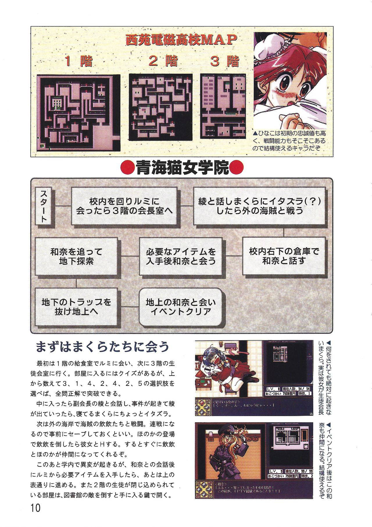 PC Bishoujo Software Strategy Book: Strategy King 2