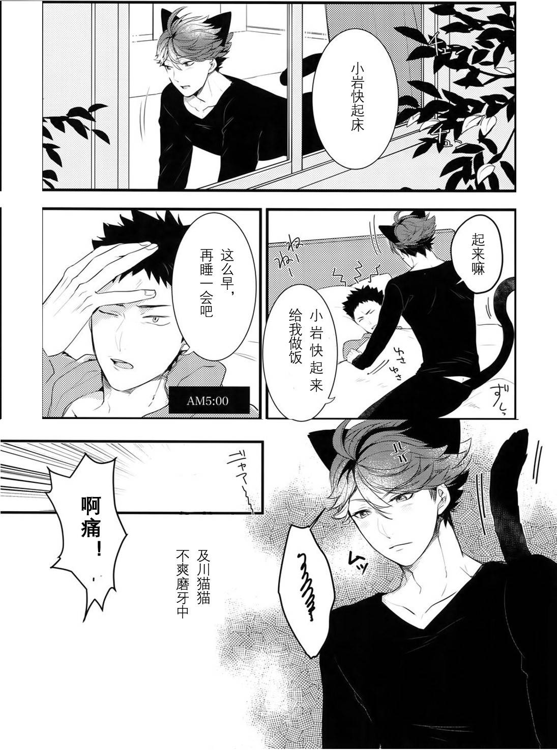 [Rototika (Kamishi Yue)] [岩及]我想成为小岩的猫2 I want to become Iwa-chan's Cat! 2 (Haikyuu!!)[chinese][中文]