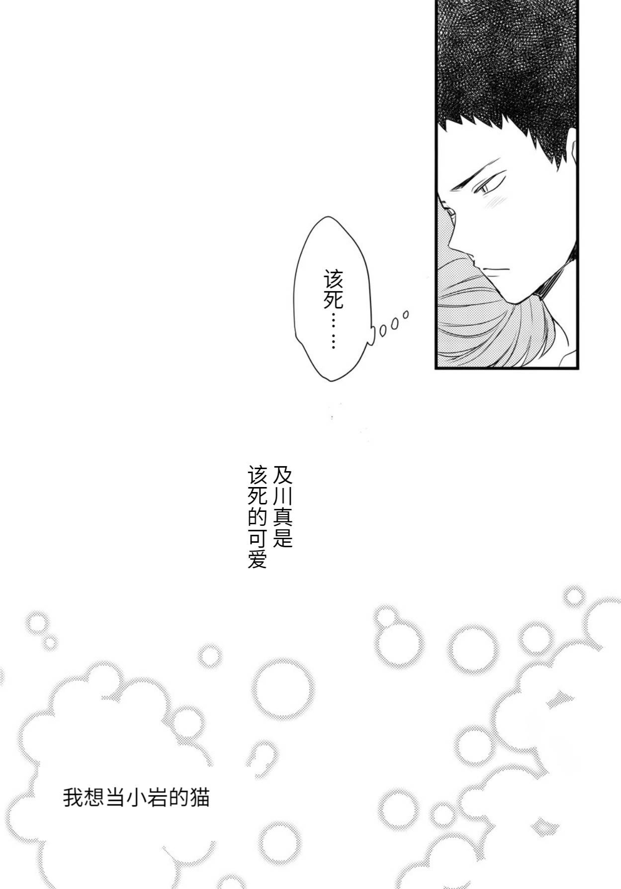 [Rototika (Kamishi Yue)] [岩及]我想成为小岩的猫2 I want to become Iwa-chan's Cat! 2 (Haikyuu!!)[chinese][中文]