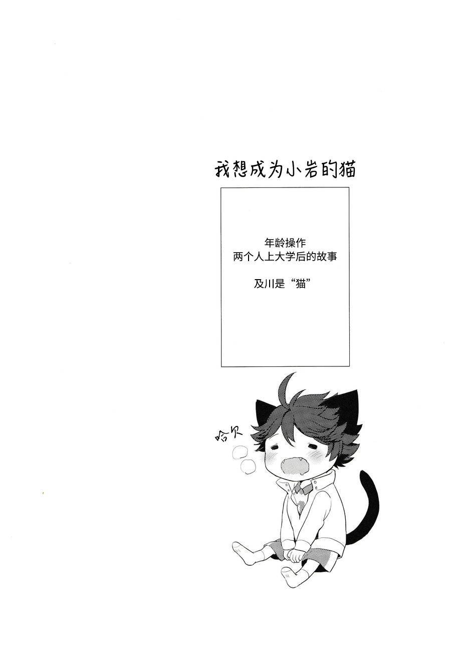 (RTS!!7) [Rototika (Kamishi Yue)] Iwa-chan no Neko ni Naritai | 我想成为小岩的猫 (Haikyuu!!) [Chinese]