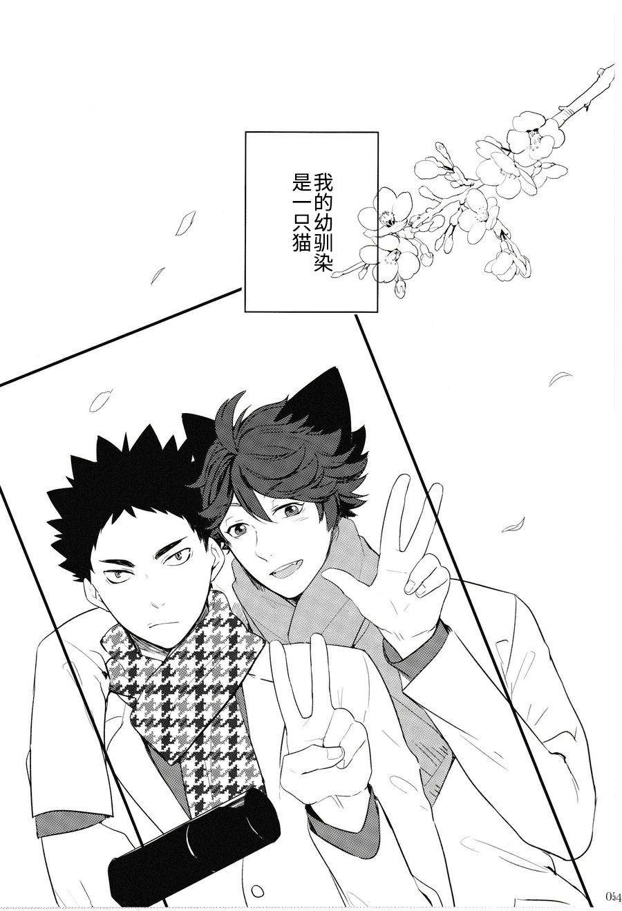 (RTS!!7) [Rototika (Kamishi Yue)] Iwa-chan no Neko ni Naritai | 我想成为小岩的猫 (Haikyuu!!) [Chinese]