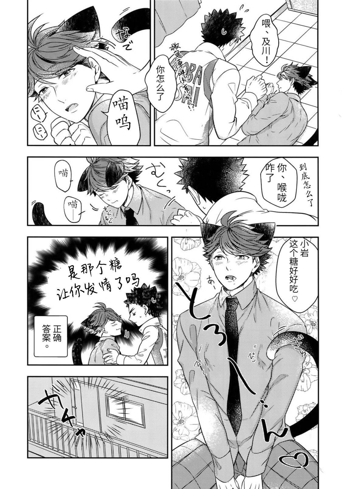 [Rototika (Kamishi Yue)] [岩及]我想成为小岩的猫4 I want to become Iwa-chan's Cat! 4 (Haikyuu!!)[chinese]