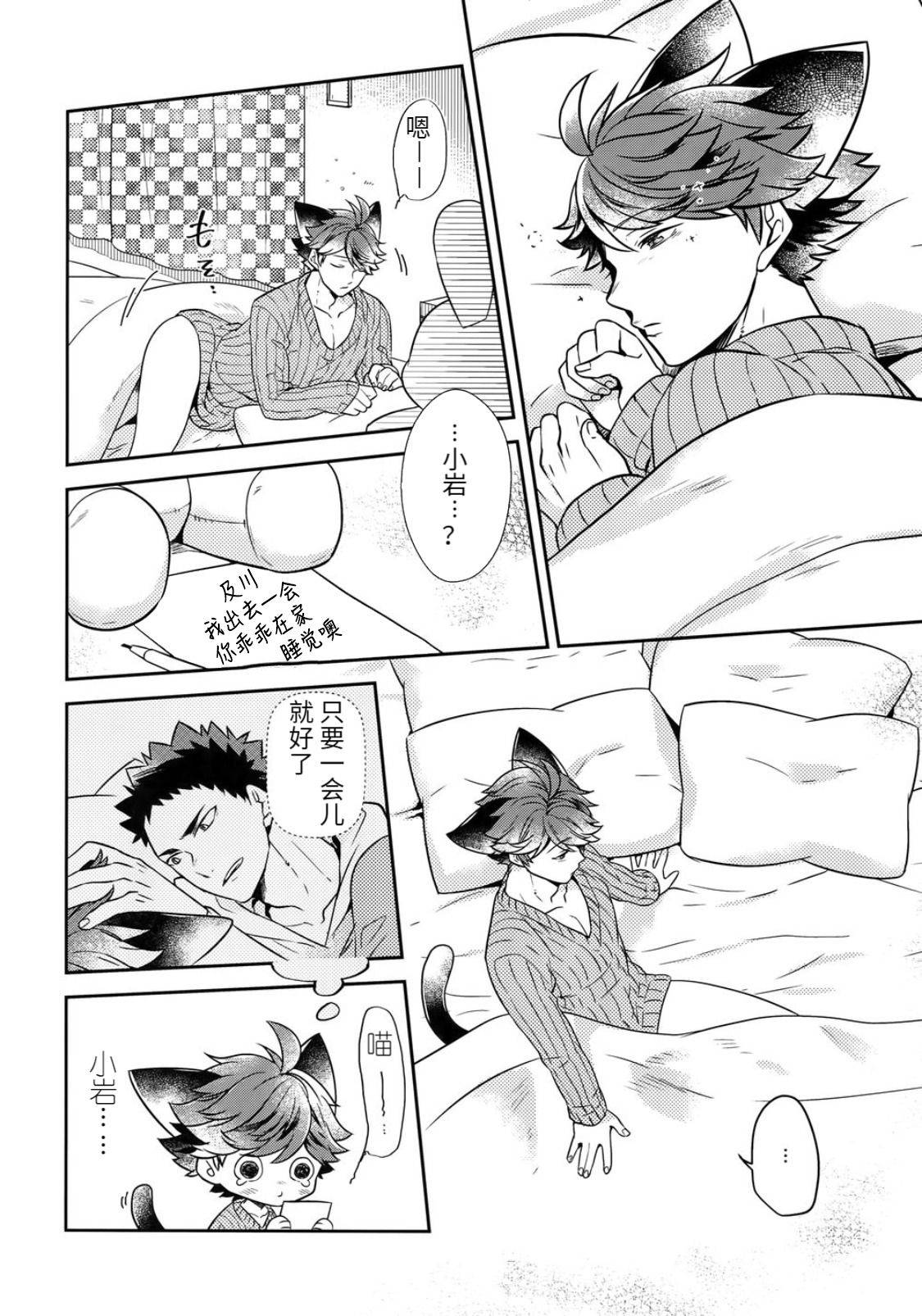 [Rototika (Kamishi Yue)] [岩及]我想成为小岩的猫5I want to become Iwa-chan's Cat! 5 (Haikyuu!!)[chinese]