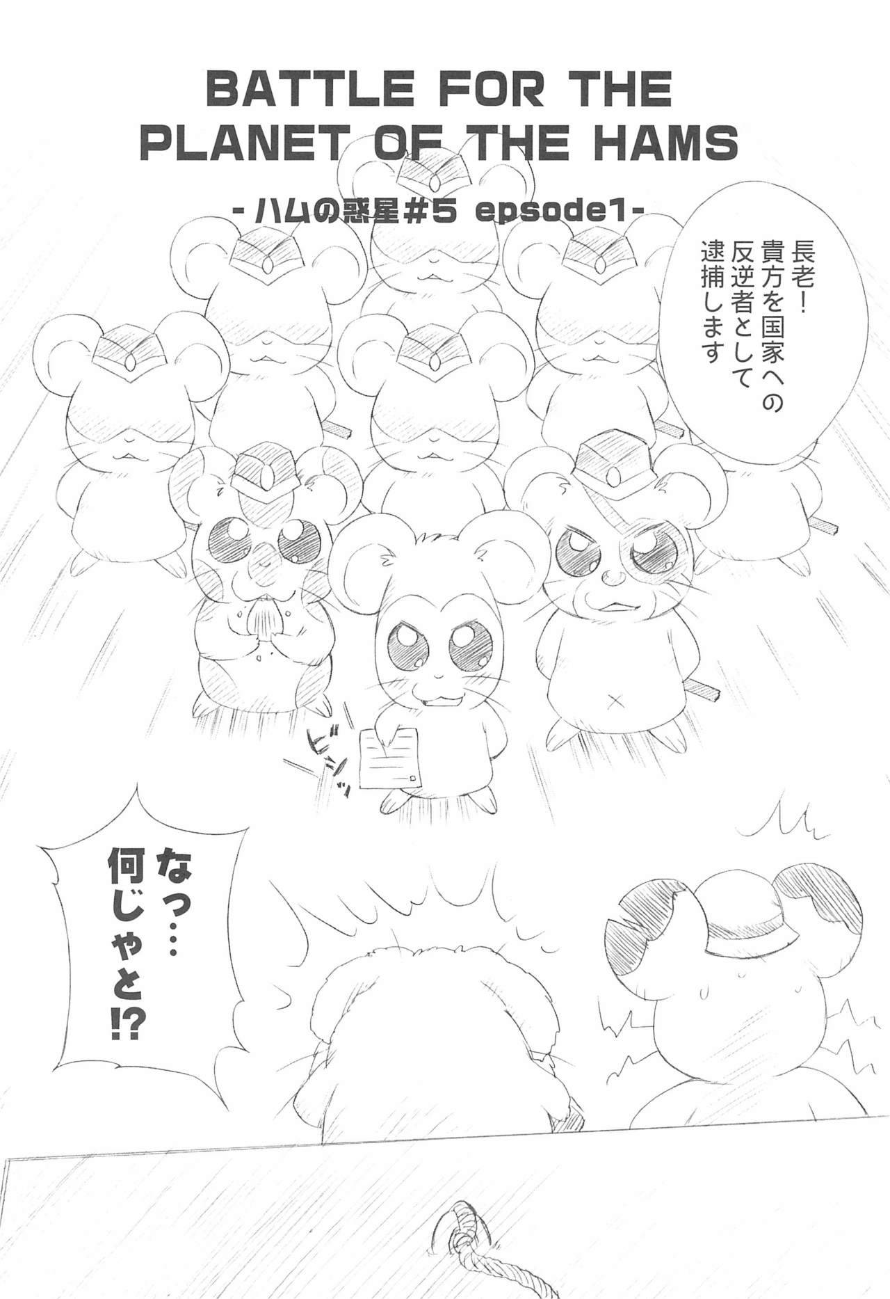 (C73) [Furaipan Daimaou (Chouchin Ankou)] BATTLE FOR THE PLANET OF THE HAMS (Hamtaro)