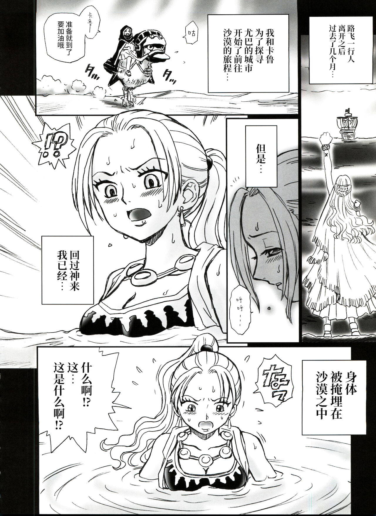 (C73) [Rat Tail (Irie Yamazaki)] Tail-Man Nefertari Vivi Book (One Piece) [Chinese] [牛肝菌汉化]