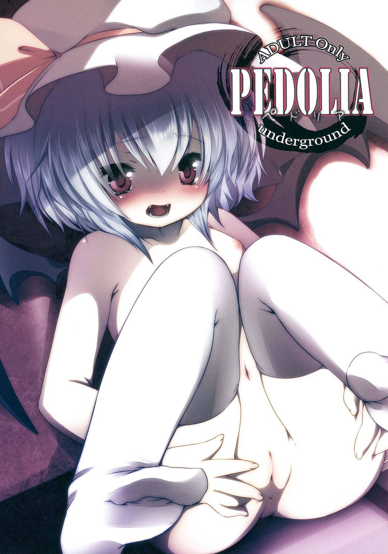 (Reitaisai 8) [French letter (Fujisaki Hikari)] Pedolia! underground (Touhou Project) [Chinese] [戀芙蘭催婚協會會長封獸鵺個人漢化]