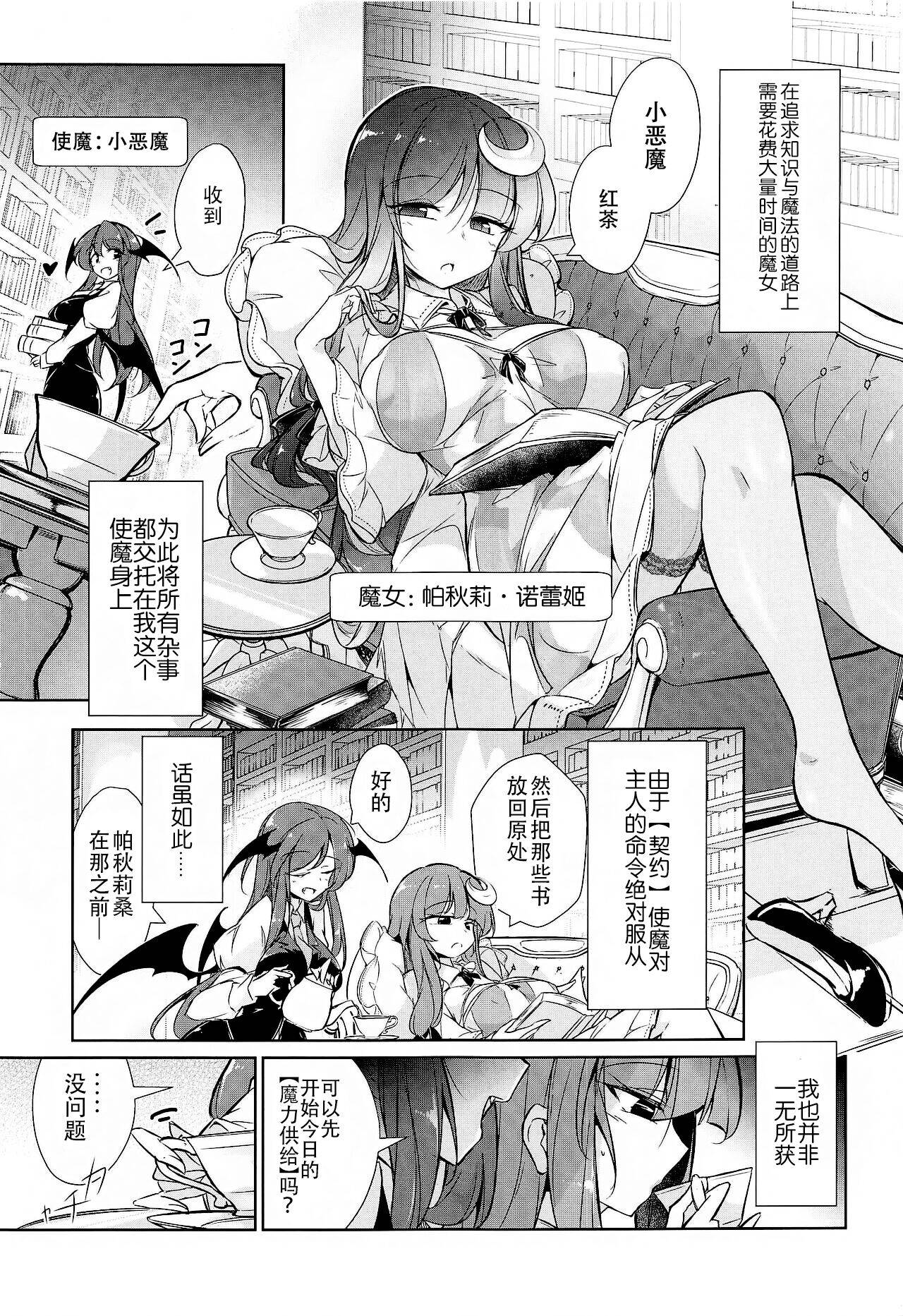 (Shuuki Reitaisai 8) [Fumituki (Fumituki, Erotuki)] Patchouli Maryoku Sakunyu Kaihatsu (Touhou Project) [Chinese] [村口喇叭个人汉化]