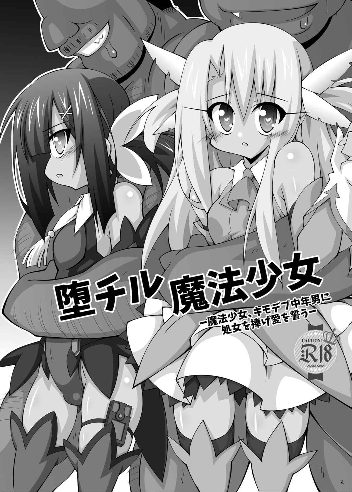 (同人誌) [THIRD BRAND (かつまたかずき)] 墮チル魔法少女 -總集編1- (Fate kaleid liner プリズマ☆イリヤ) [DL版]