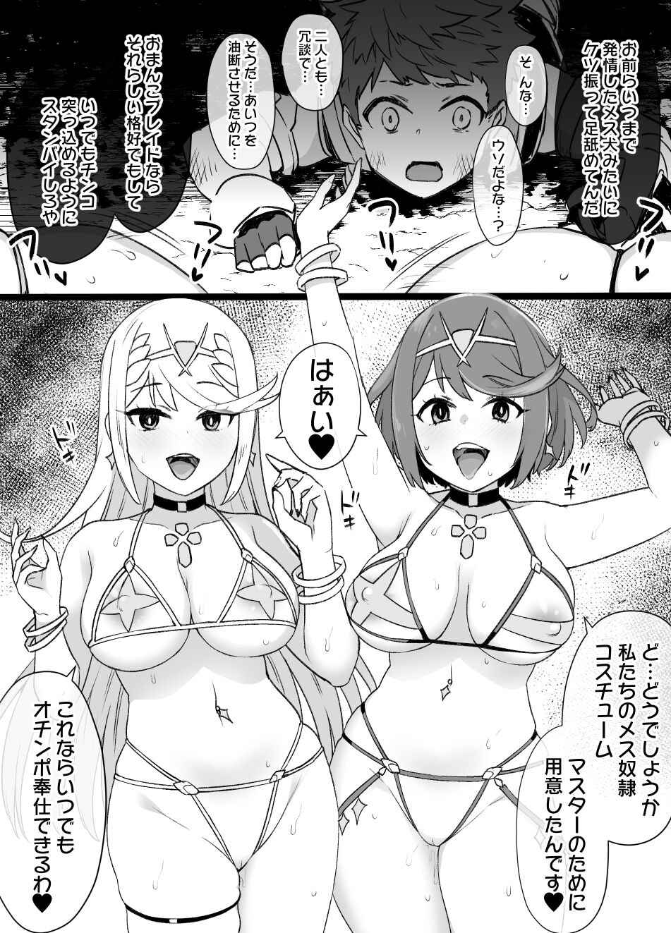 [Kusayarou] Homura & Hikari Sennou NTR Manga 14P (Xenoblade 2)