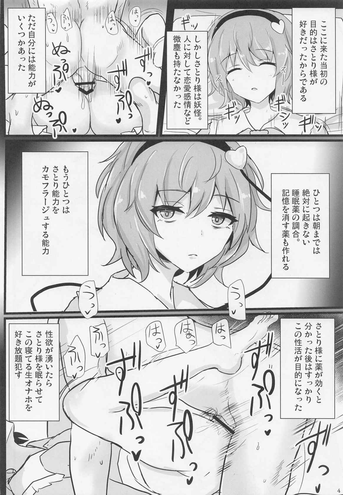 (Reitaisai 19) [Hakuginmokusei (Poshi)] Chireiden Suiminkan Kiroku vol. 1 (Touhou Project)