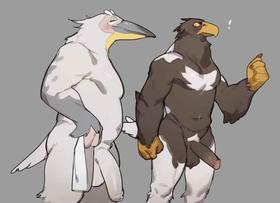 Pelican and White-tailed Eagle[Uncensored]