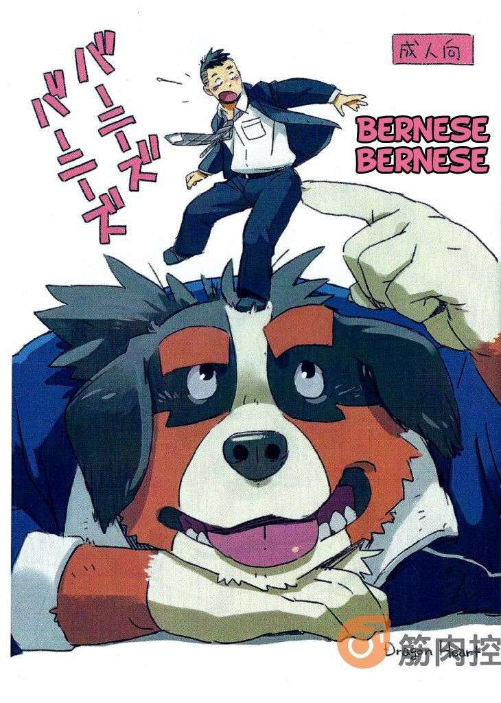 (C85) [Dragon Heart (Gamma)] Bernese Bernese [English]