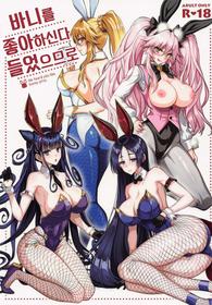 (C100) [Yohsyuan (Son Yohsyu)] Bunny ga Osuki to Kikimashite - We heard you like bunny girls. | 바니를 좋아하신다 들었으므로 (Fate/Grand Order) [Korean]