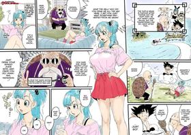 Bulma x Turtle Hermit - Last [Oneshot]