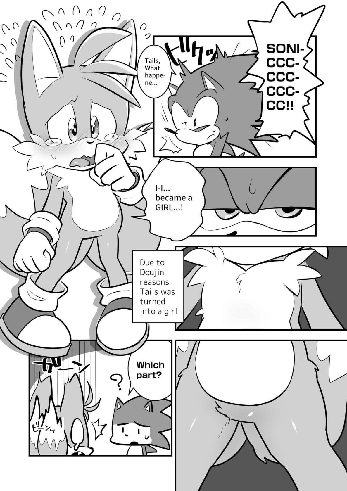 [hentaib] Tails and Sonic's special Fuss (Sonic the Hedgehog)