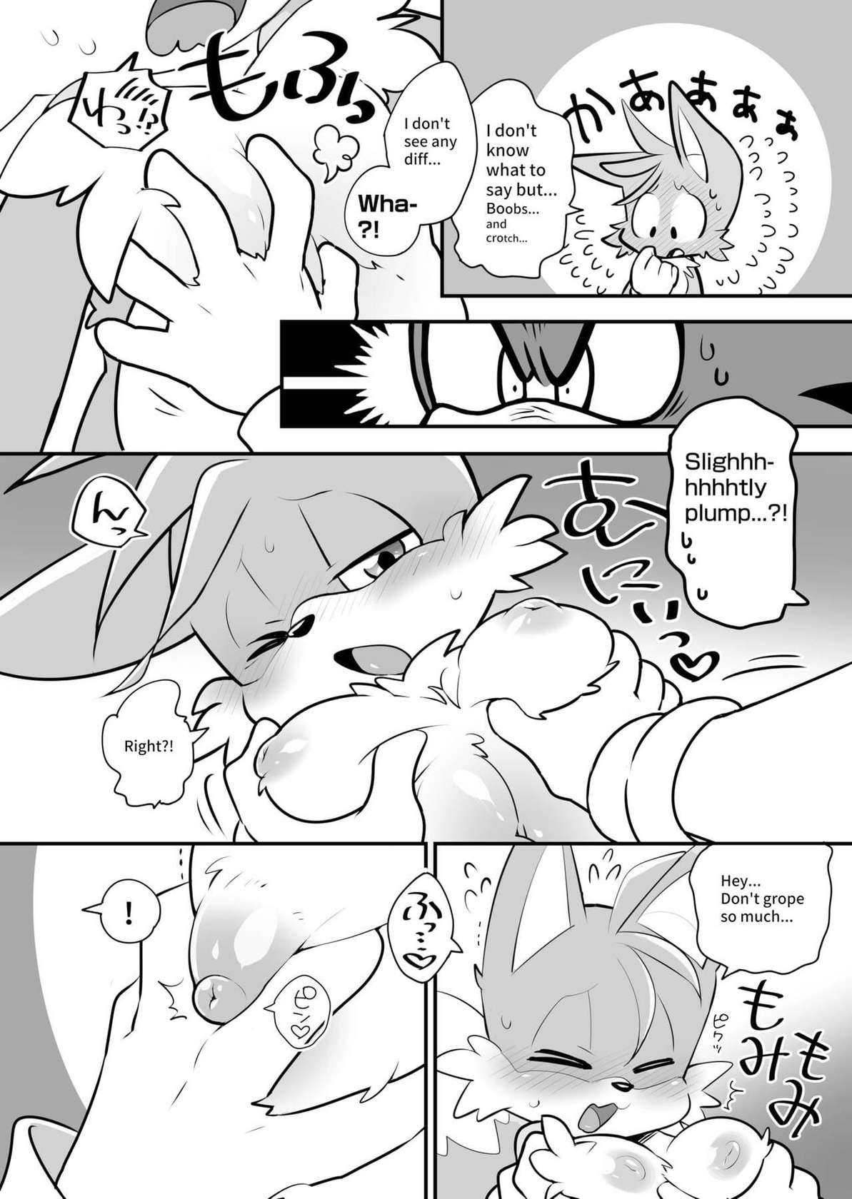 [hentaib] Tails and Sonic's special Fuss (Sonic the Hedgehog)