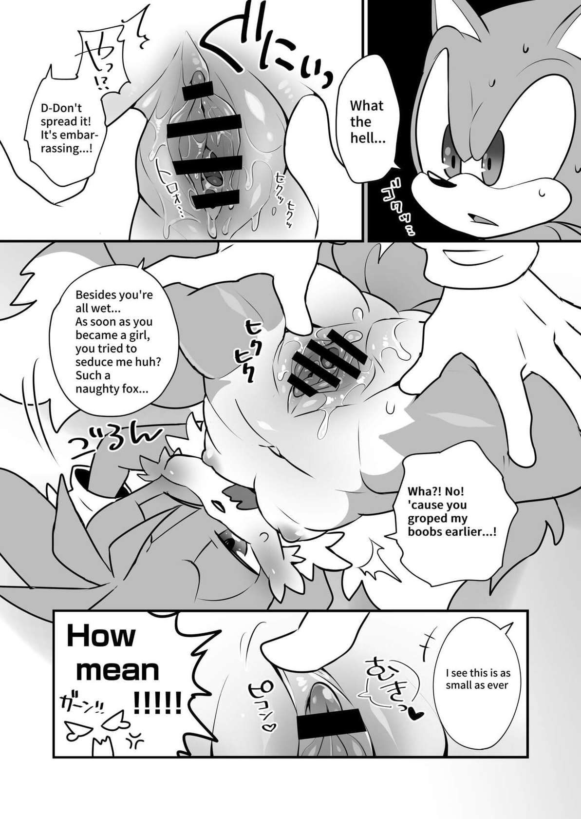 [hentaib] Tails and Sonic's special Fuss (Sonic the Hedgehog)