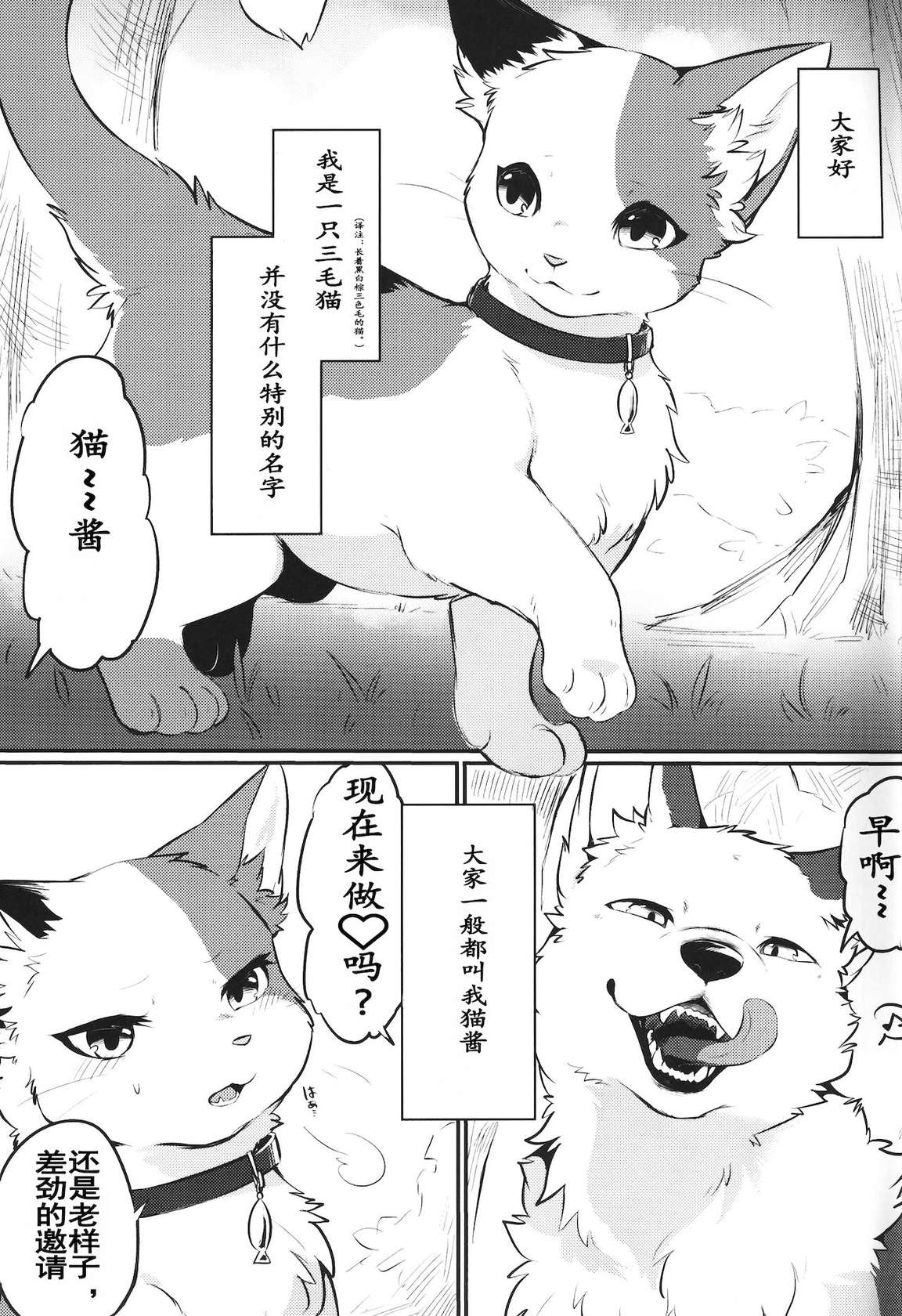 (Kemoket 10) [Kaiten ParaDOGs (Minaga Tsukune)] Sukimono Doushi | 同好 [Chinese] [虾皮汉化组]