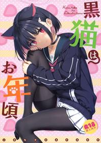 (C101) [Jenoa Cake (Takayaki)] Kuroneko wa Otoshigoro (Blue Archive) [Chinese] [空気系☆漢化]