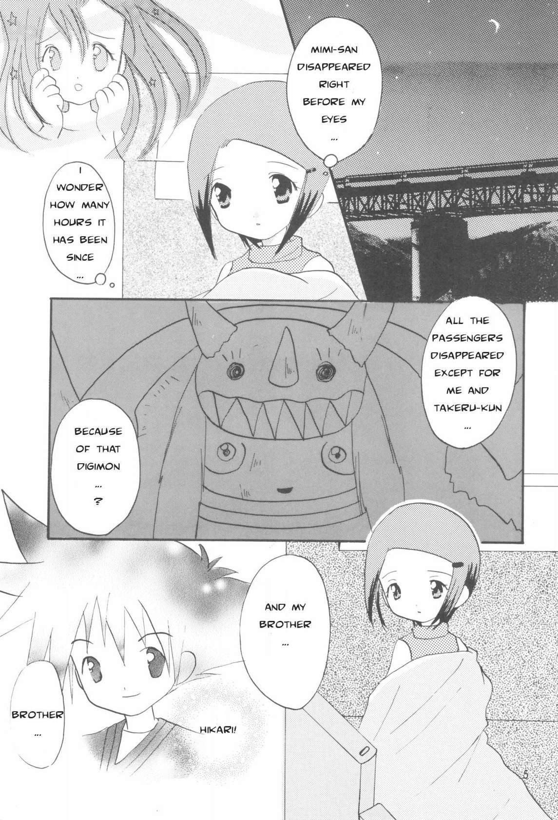 (C59) [Cheese-iri Kamaboko-dou (Mako Cube)] Hikari Mania (Digimon Adventure 02) [English]