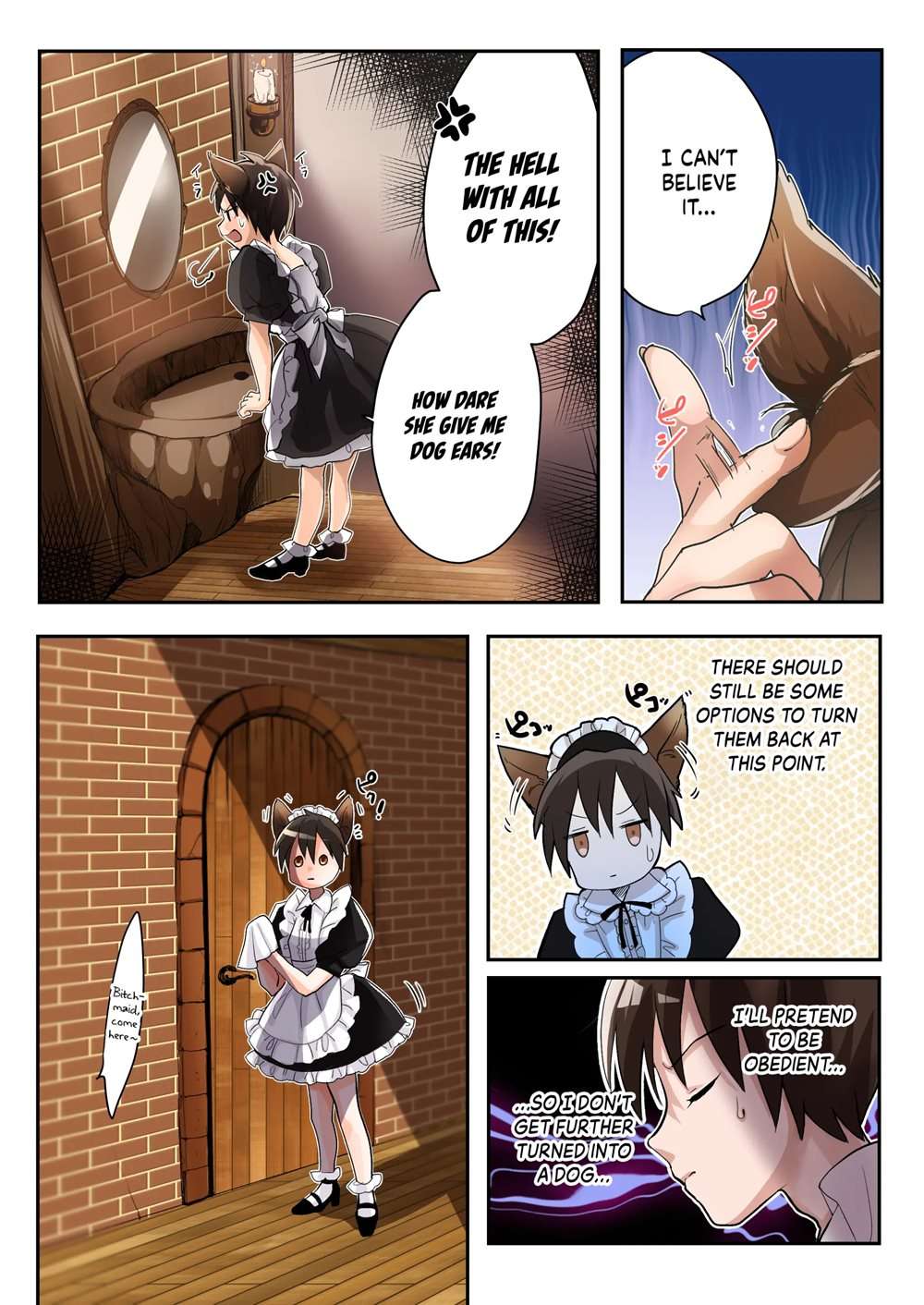 Yuusha No Ore Wa TS Mesuinu Maid Nanka Ni Wa Zettai Ni Naranai! [Oneshot]